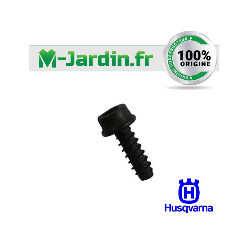 Visserie Screw IHSCT MT5X16 10.9 DS