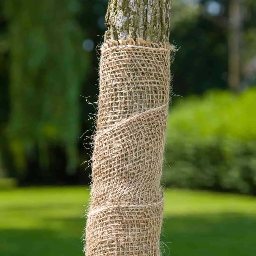 [BAND-JUT-200/50-P] Rouleau Jute Protection Tronc 200x50m