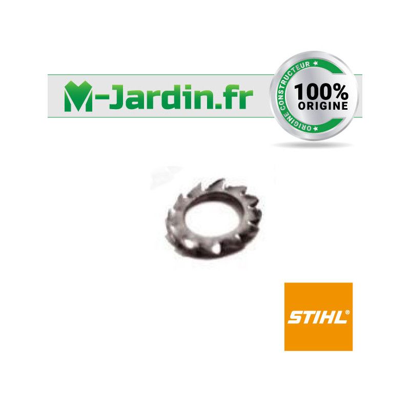 Anneau denté 24x0,5