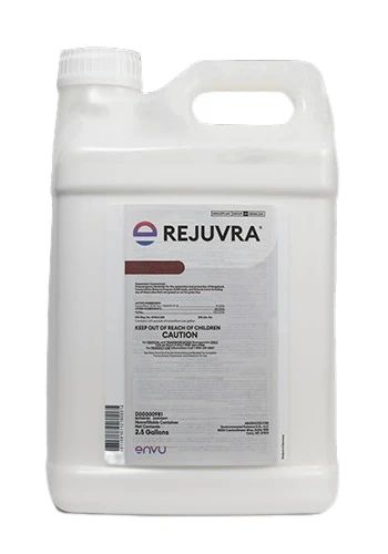 [GAZ-REVASUD-15KG-B] Gazon Reva Sud - Unité