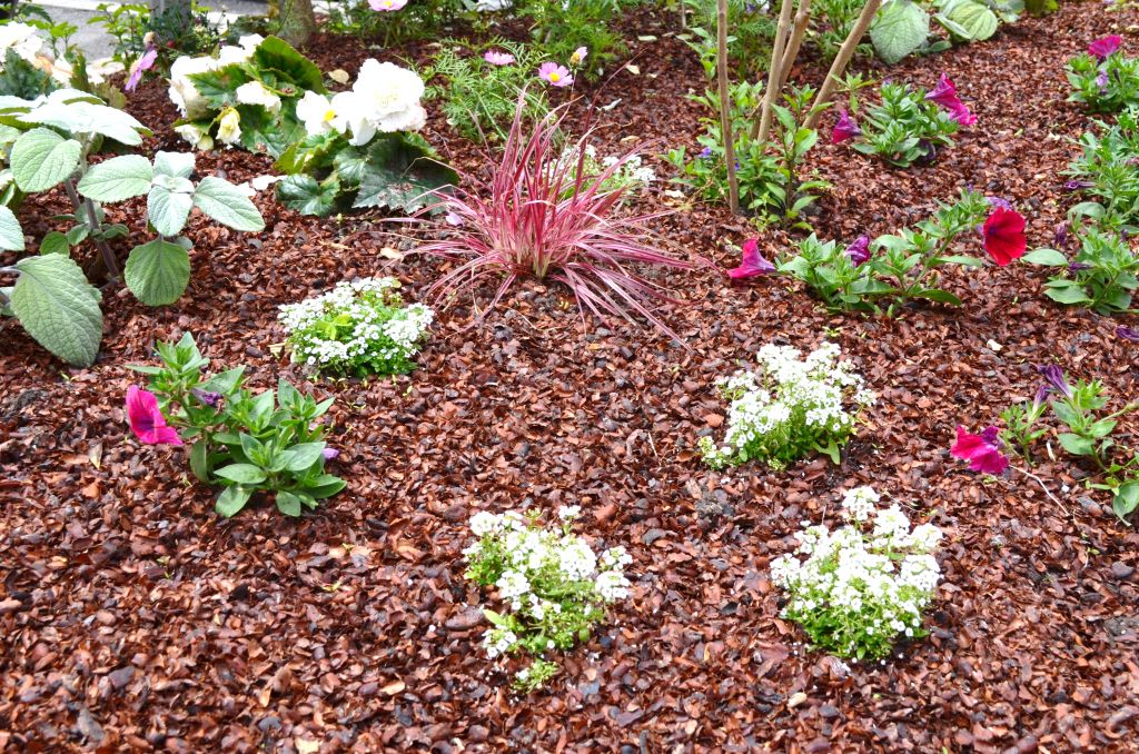 [PAIL-COQUECACAO-SAC70-D] COQUE DE CACAO / SAC 70 LITRES