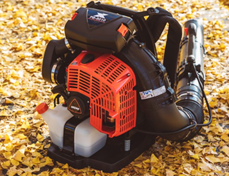 Souffleur Echo PB8010
