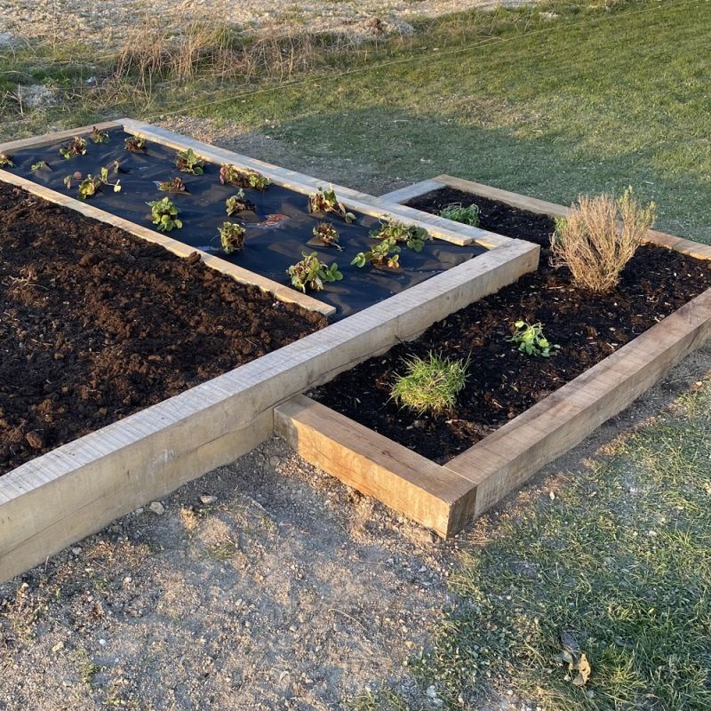 TRAVERSE PAYSAGERE CHENE 260X20X10 - PRIX UNIT