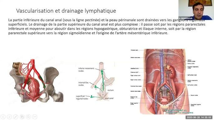 [40037139700] Partie inférieure supérieure 40