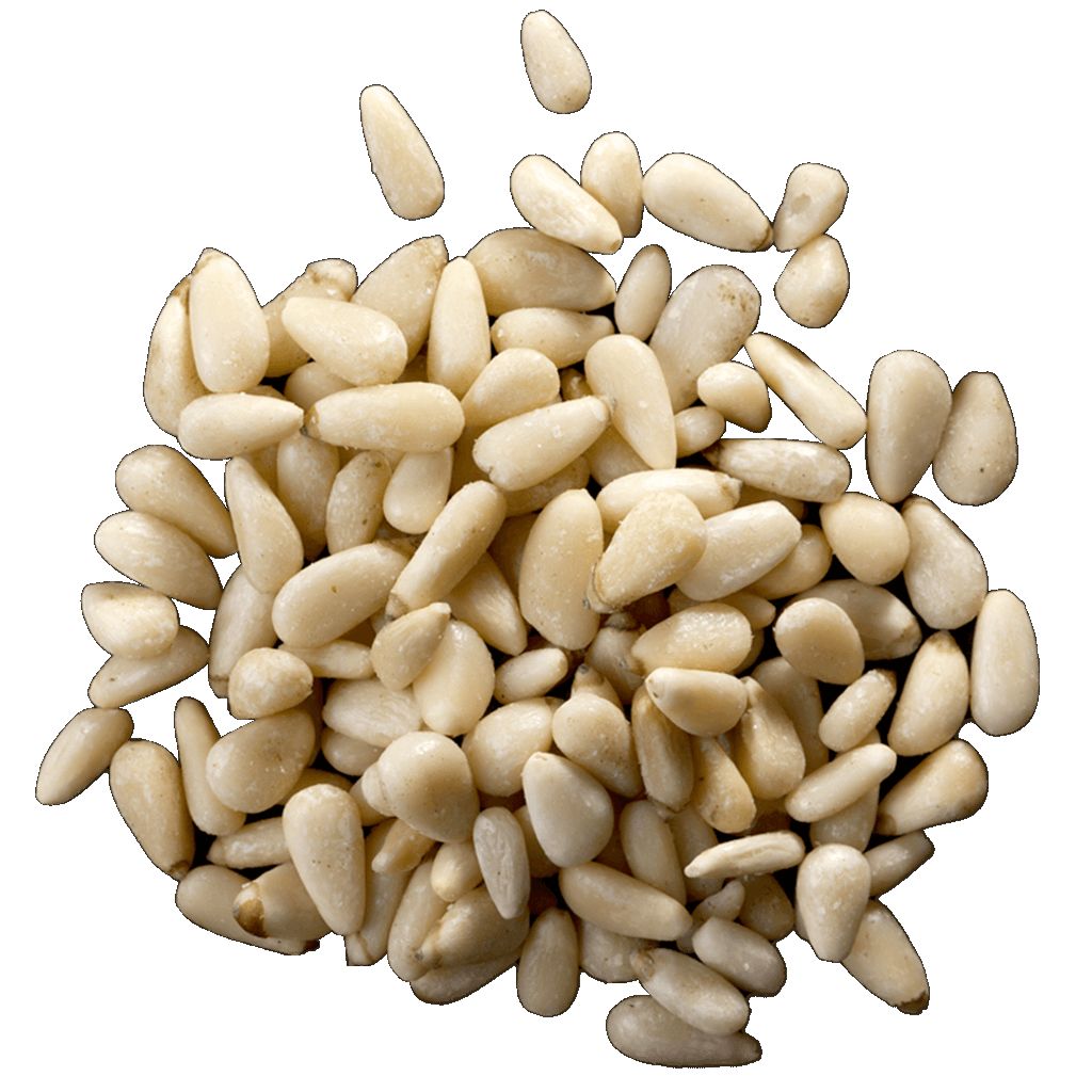 [42306407501] Pignon