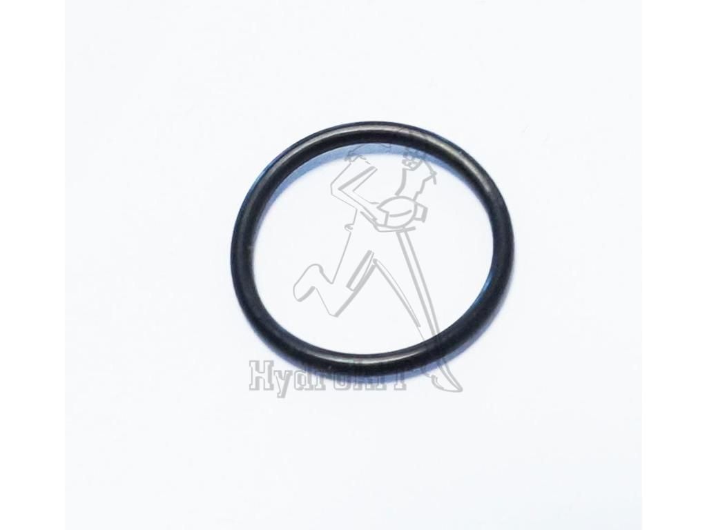 [96459452620] Joint torique 23x2