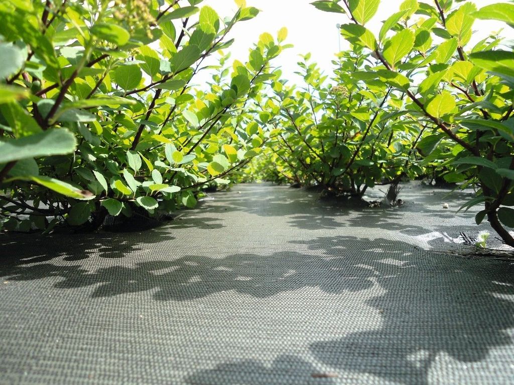 Bache tissée PLA Duracover - 130g/m², Surface 200m²