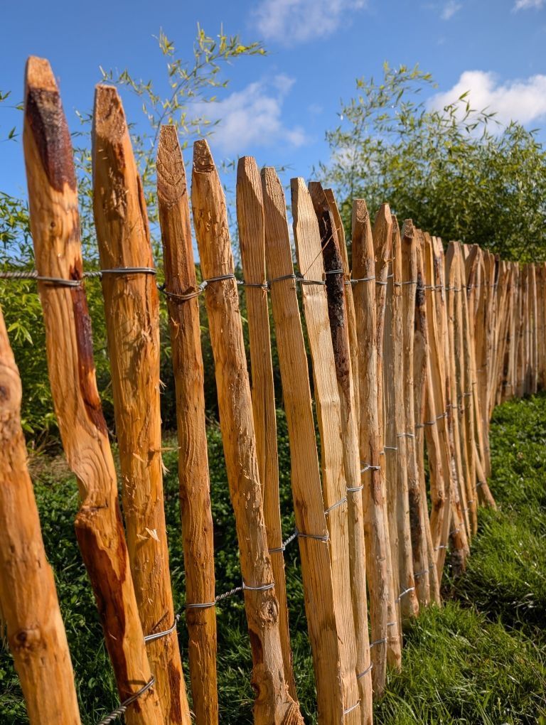 [GANI-CHAT-50/4-DT-F] GANIVELLE CHATAIGNIER FENDUE HAUTEUR 50CM ÉCART 4 - colis de 8 rlx de 10 ML